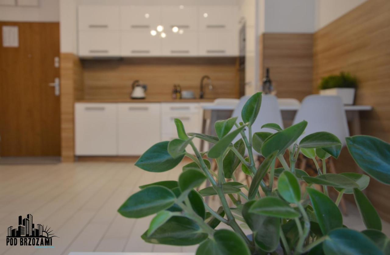 Pod Brzozami Apartamenty Dwie Sosny Устроне-Морске Экстерьер фото